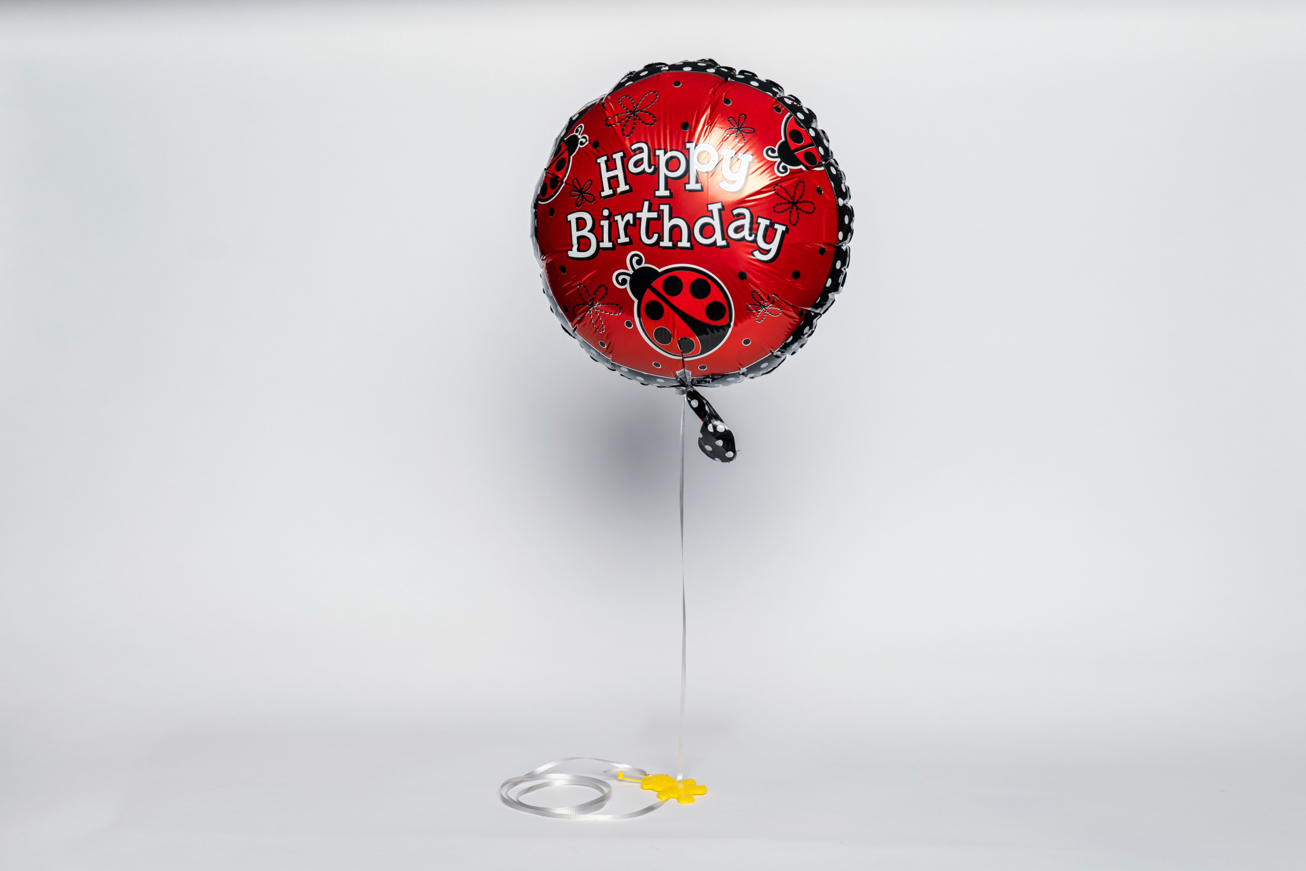 Helium Balloon Botany Downs Florist & East Auckland same day delivery
