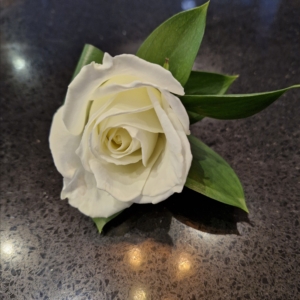 buttonhole