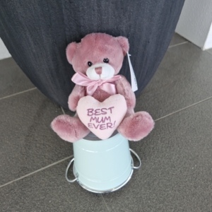 Best Mum Teddy